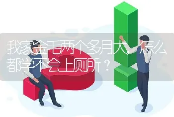 我家金毛两个多月大，怎么都学不会上厕所？