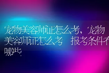 宠物美容师证怎么考，宠物美容师证怎么考 报考条件有哪些