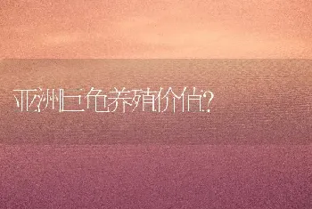 亚洲巨龟养殖价值？