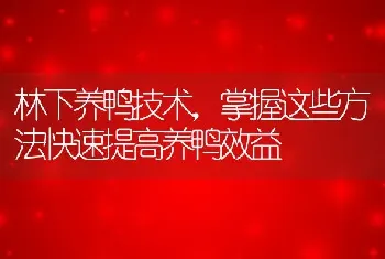 林下养鸭技术，掌握这些方法快速提高养鸭效益