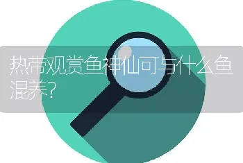 热带观赏鱼神仙可与什么鱼混养？