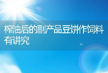 榨油后的副产品豆饼作饲料有讲究