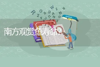 南方观赏鱼寿命？