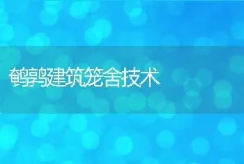 鹌鹑建筑笼舍技术