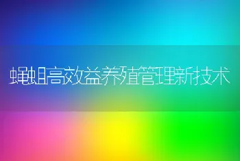 蝇蛆高效益养殖管理新技术