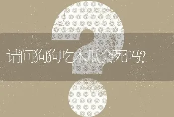 请问狗狗吃木瓜会死吗？