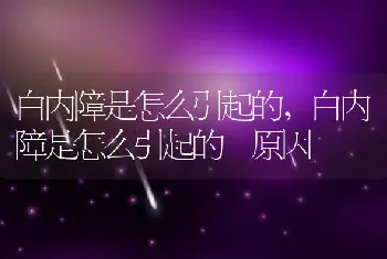 白内障是怎么引起的，白内障是怎么引起的 原因