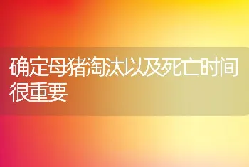 确定母猪淘汰以及死亡时间很重要