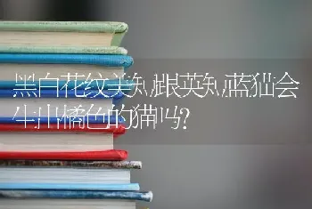 哪种狗狗不掉毛又好养又聪明又漂亮？