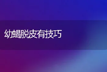 鸡痛风症的病因分析