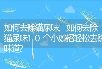 如何去除猫尿味，如何去除猫尿味10个小妙招轻松去除味道？