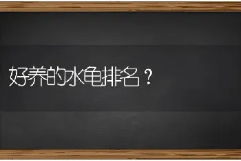 金毛犬丢失两个月能不能认识前面的主人？