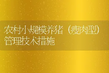 农村小规模养猪（瘦肉型）管理技术措施