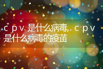 cpv是什么病毒，cpv是什么病毒的疫苗