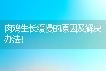 肉鸡生长缓慢的原因及解决办法！