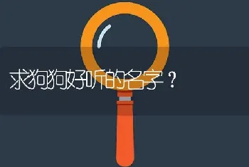 求狗狗好听的名字？