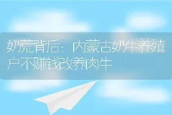 奶荒背后：内蒙古奶牛养殖户不赚钱改养肉牛