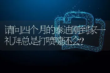 请问四个月的泰迪刚到家一礼拜总是打喷嚏还会？