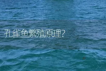 孔雀鱼繁殖原理？