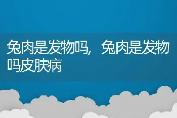 兔肉是发物吗，兔肉是发物吗皮肤病