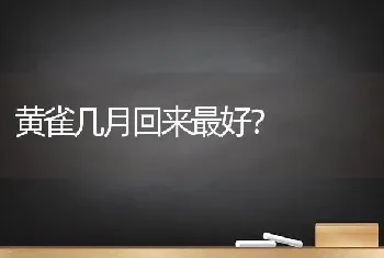 黄雀几月回来最好？