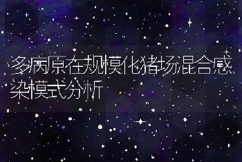 鲑鳟鱼类常见疾病及预防