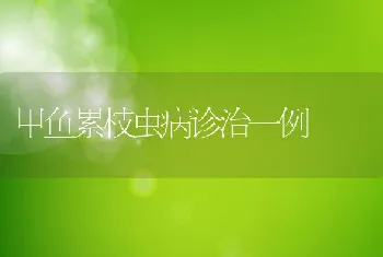 配合饲料比较试验结果通报