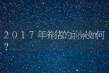 2017年养猪的前景如何？