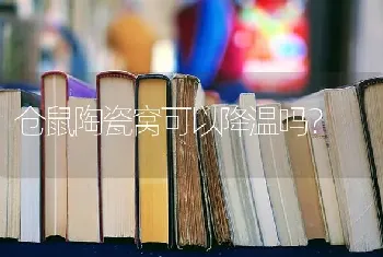 仓鼠陶瓷窝可以降温吗？