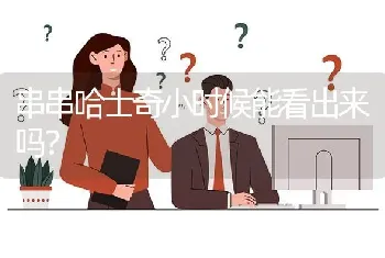 串串哈士奇小时候能看出来吗？