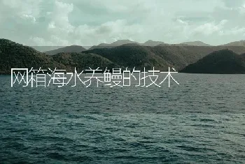 网箱海水养鳗的技术