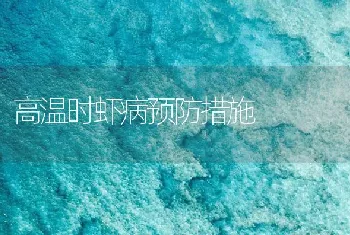 高温时虾病预防措施