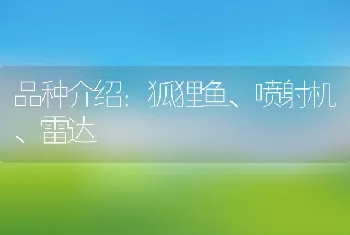 品种介绍：狐狸鱼、喷射机、雷达