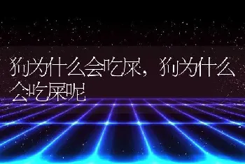 狗为什么会吃屎，狗为什么会吃屎呢