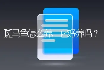 斑马鱼怎么养,它好养吗？