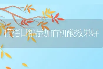 仔猪日粮添加有机酸效果好