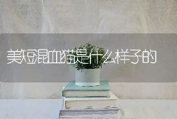 阿拉斯加一窝能生多少只？