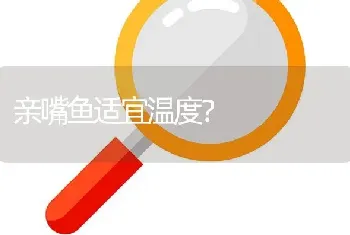 亲嘴鱼适宜温度？