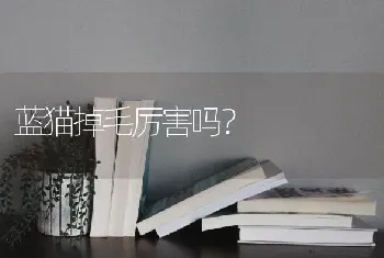 蓝猫掉毛厉害吗？