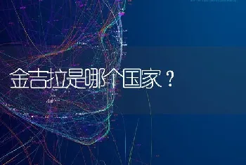 金吉拉是哪个国家？