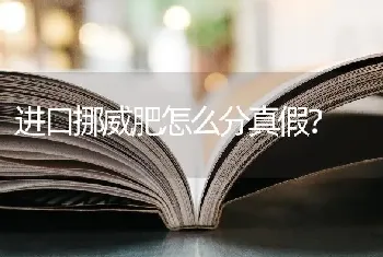 阿拉斯加体重表？