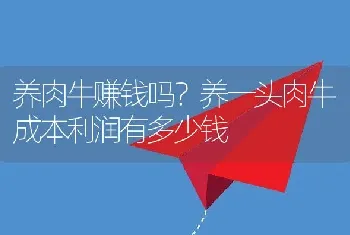 养肉牛赚钱吗？养一头肉牛成本利润有多少钱