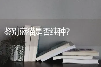 鉴别蓝猫是否纯种？