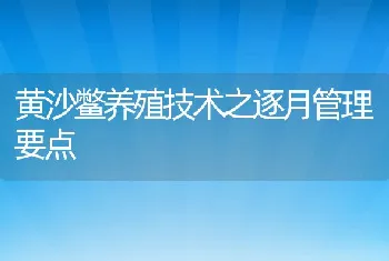 黄沙鳖养殖技术之逐月管理要点