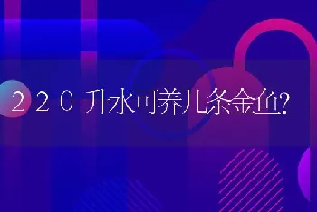 220升水可养几条金鱼？