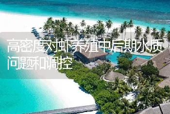 高密度对虾养殖中后期水质问题和调控