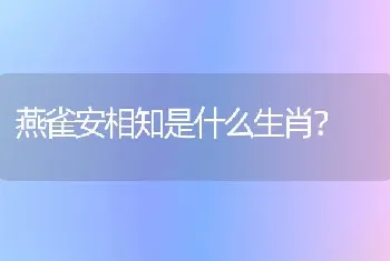 燕雀安相知是什么生肖？