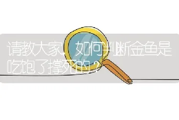 请教大家，如何判断金鱼是吃饱了撑死的？