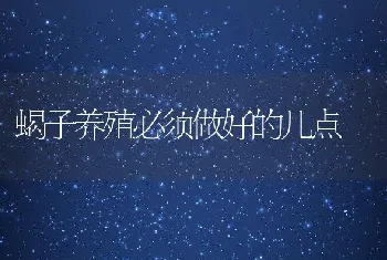 蝎子养殖必须做好的几点