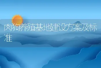 肉狗养殖基地建设方案及标准